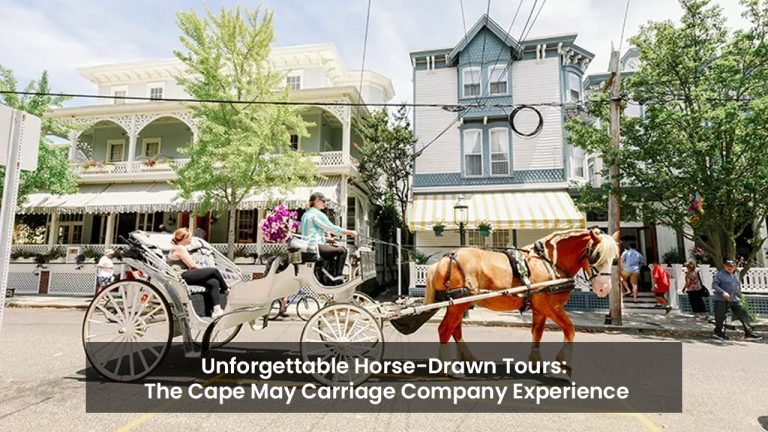 Unforgettable Horse-Drawn Tours: The Cape May Carriage Company Experience