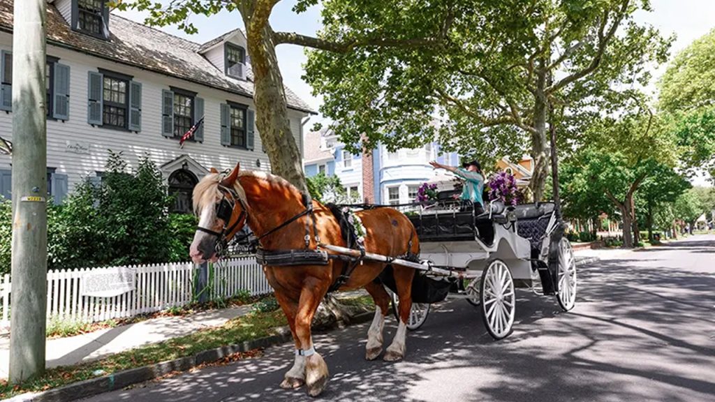 Cape May Carriage Company