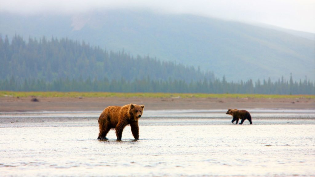 Lake Clark National Park